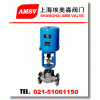 電子式電動(dòng)調(diào)節(jié)閥，進(jìn)口調(diào)節(jié)閥，美國(guó)米歇爾品牌代理商